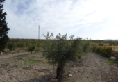 Casa de campo con terreno en venta en la España, Uleila del Campo, ref: TR281867 foto