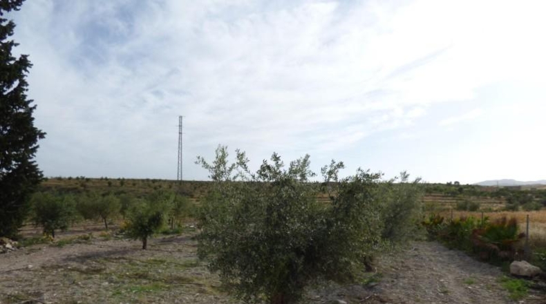Almería - Uleila del Campo - 15600m2
