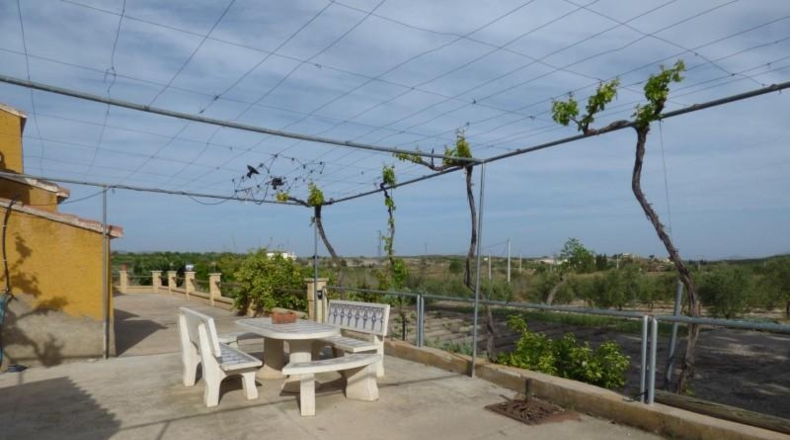 Almería - Uleila del Campo - 15600m2