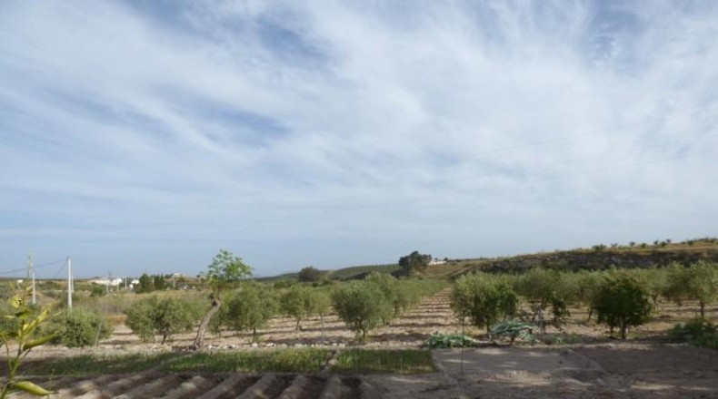 Almería - Uleila del Campo - 15600m2
