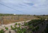 Casa de campo con terreno en venta en la España, Uleila del Campo, ref: TR281867 foto