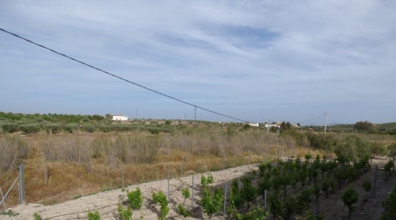 Almería - Uleila del Campo - 15600m2