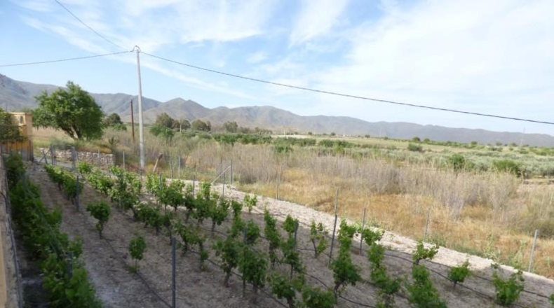 Almería - Uleila del Campo - 15600m2