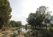 Country house with land for sale on España, Monóvar, ref: TR408696 photo