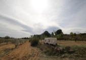 Country house with land for sale on España, Monóvar, ref: TR408696 photo