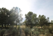 Country house with land for sale on España, Monóvar, ref: TR408696 photo