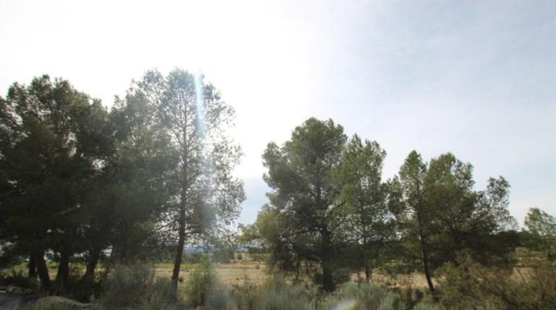 Аликанте - Monóvar - 150000m2