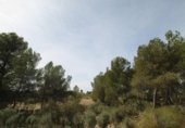 Country house with land for sale on España, Monóvar, ref: TR408696 photo