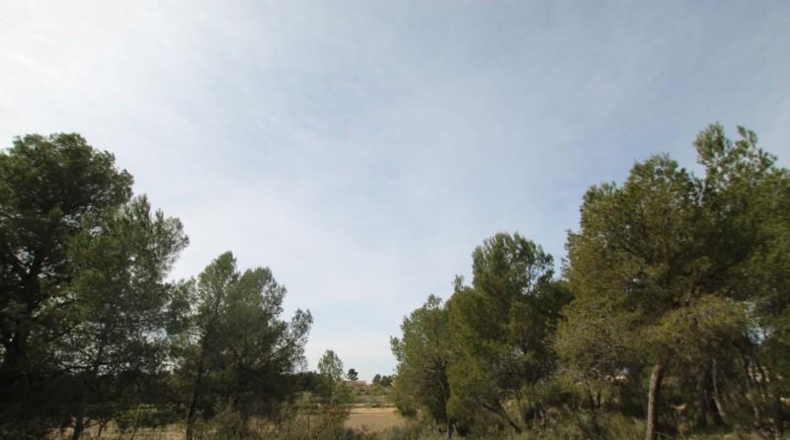 Аликанте - Monóvar - 150000m2