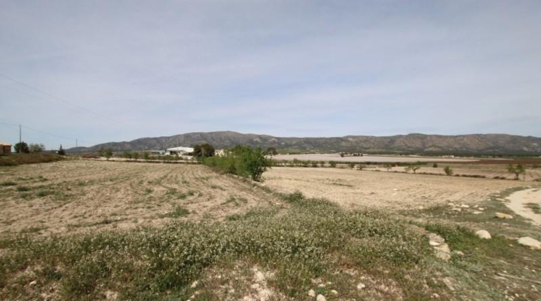 Аликанте - Monóvar - 150000m2