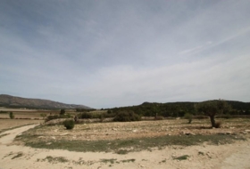 Foto 14