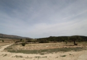 Country house with land for sale on España, Monóvar, ref: TR408696 photo