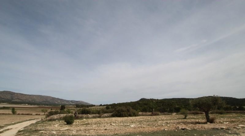 Аликанте - Monóvar - 150000m2