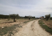 Country house with land for sale on España, Monóvar, ref: TR408696 photo