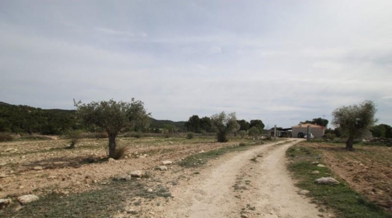 Аликанте - Monóvar - 150000m2