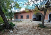 Xalet independent amb terreny en venda a la España, Elx, ref.: TR408704 foto