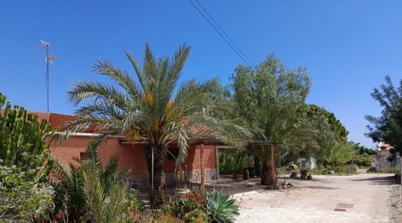 Аликанте - Elche - 200m2