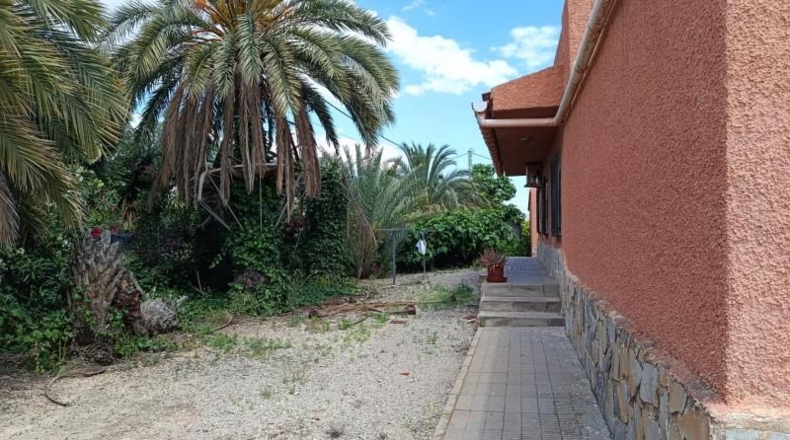 Аликанте - Elche - 200m2