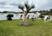 Xalet independent amb terreny en venda a la España, Chiclana de la Frontera, ref.: TR158382 foto