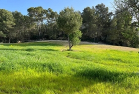 Porreras 23285&nbsp;m²