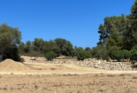 Porreras 23285&nbsp;m²