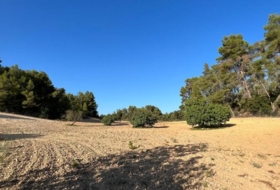 Porreras 23285&nbsp;m²