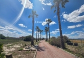 Chalet independiente con terreno en venta en la España, Dolores, ref: TR408759 foto