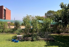 Foto 11