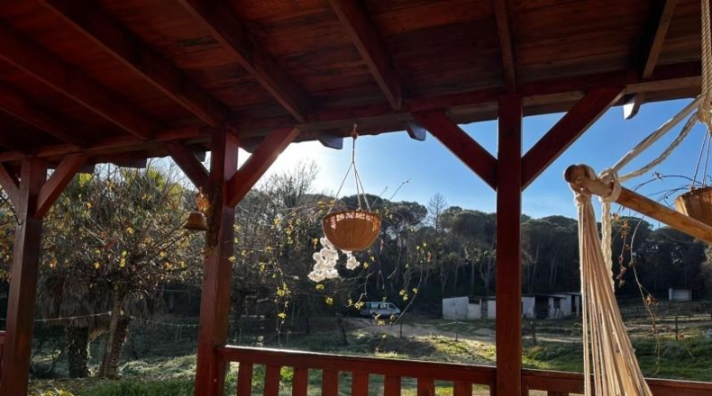 Gerona - Maçanet de la Selva - 40000m2