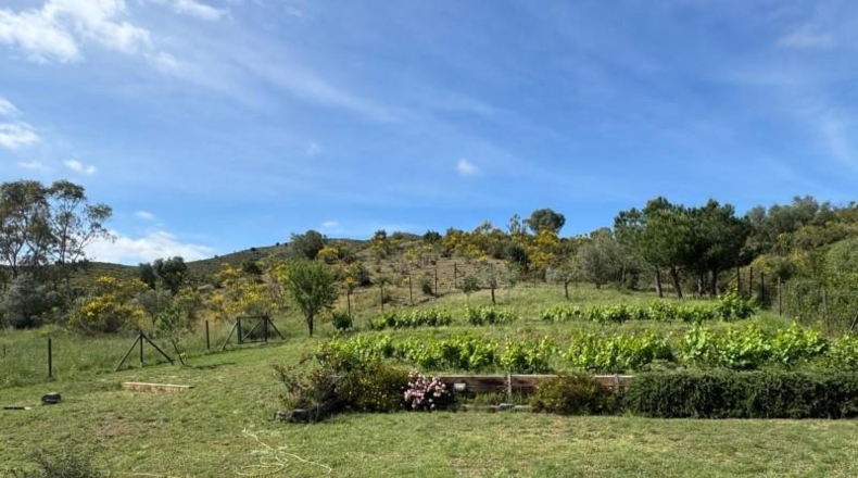 Gerona - Llançà - 1058m2