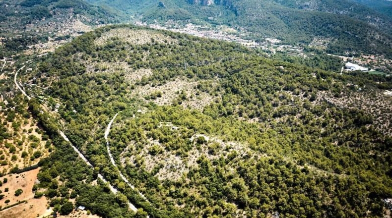 Illes Balears - Buñola - 191264m2