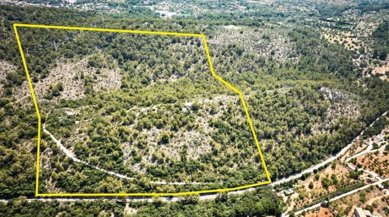 Illes Balears - Buñola - 191264m2
