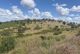 Puebla de Guzmán 6500000&nbsp;m² 