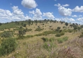 Xalet independent amb terreny en venda a la España, Puebla de Guzmán, ref.: TR275745 foto
