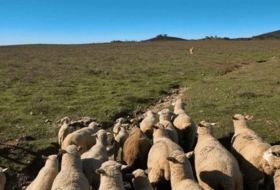 Puebla de Guzmán 6500000&nbsp;m² 