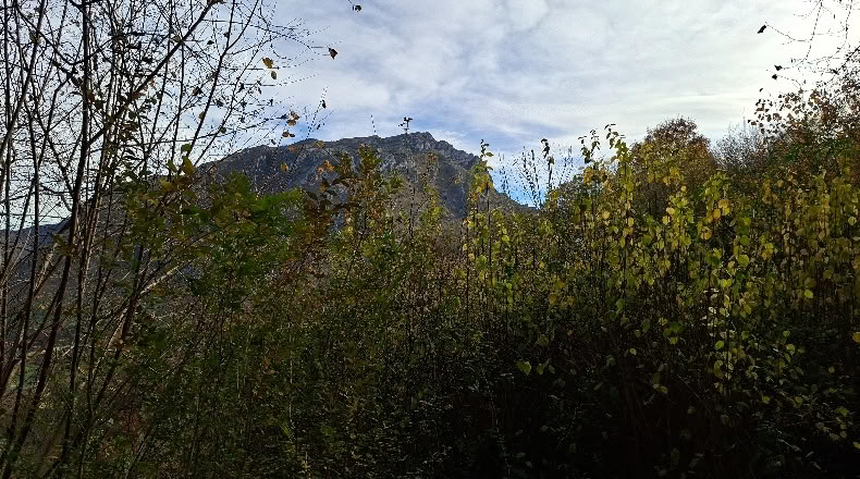 Asturias - El Ablanedo - 6200m2