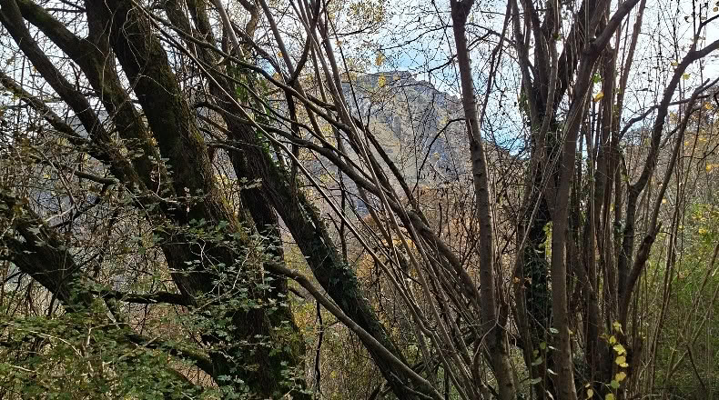 Asturias - El Ablanedo - 6200m2