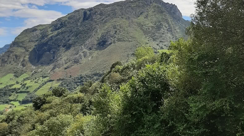 Asturias - El Ablanedo - 6200m2