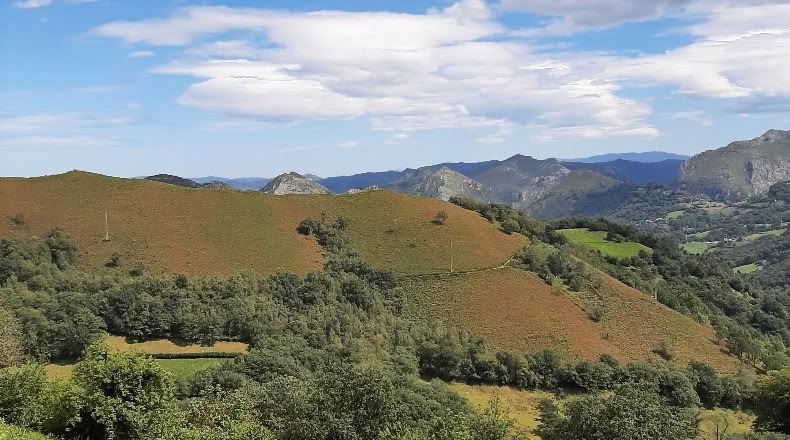 Asturias - El Ablanedo - 6200m2