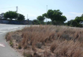 Suelo urbano en venta en la España, Vinaròs, ref: TR408818 foto