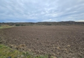 Non-developable land for sale on España, Lodosa, ref: TR408821 photo