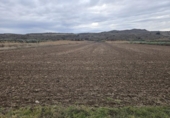 Non-developable land for sale on España, Lodosa, ref: TR408821 photo