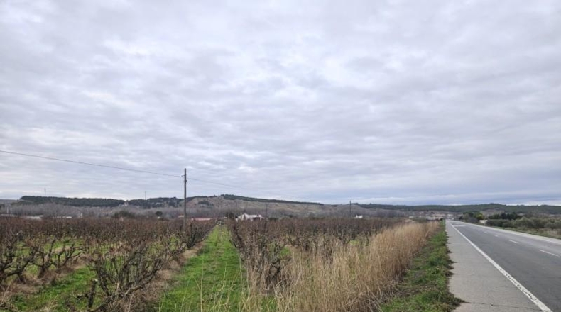 Navarra - Lodosa - 2520m2