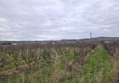 Земля на продажу у города Lodosa Фото