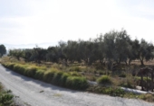 Non-developable land for sale on España, Villa de Otura, ref: TR408824 photo