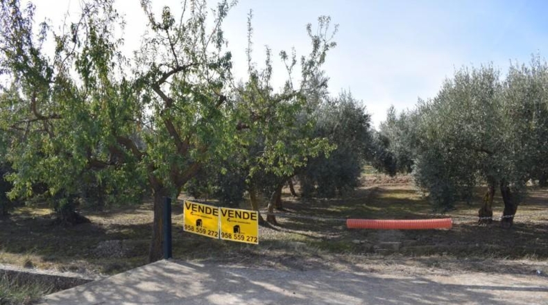 Granada - Villa de Otura - 2600m2