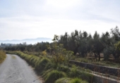 Non-developable land for sale on España, Villa de Otura, ref: TR408824 photo