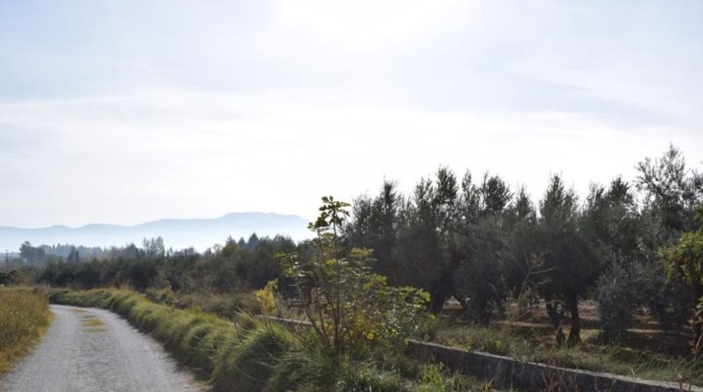 Granada - Villa de Otura - 2600m2