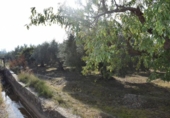 Non-developable land for sale on España, Villa de Otura, ref: TR408824 photo
