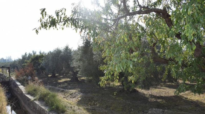 Granada - Villa de Otura - 2600m2